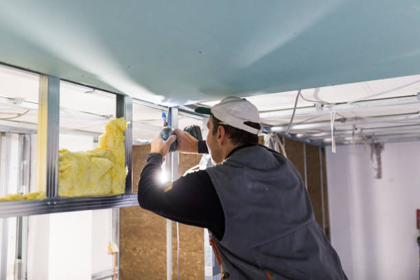 Professional Insulation Contractor in Gorman, TX