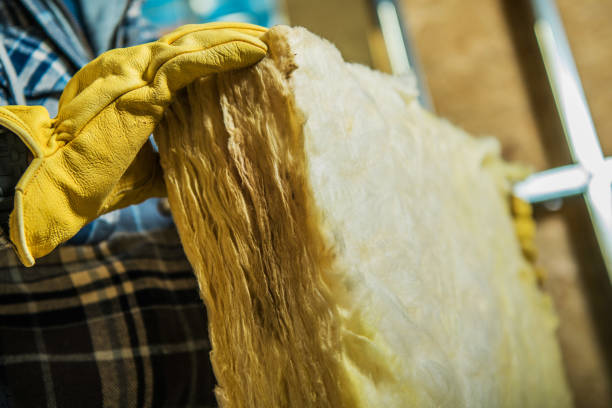 Best Insulation Contractor Near Me  in Gorman, TX